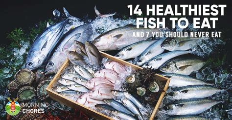 healthiest fish to eat|The 7 Best Fish to Eat—and 5 to Never Eat .
